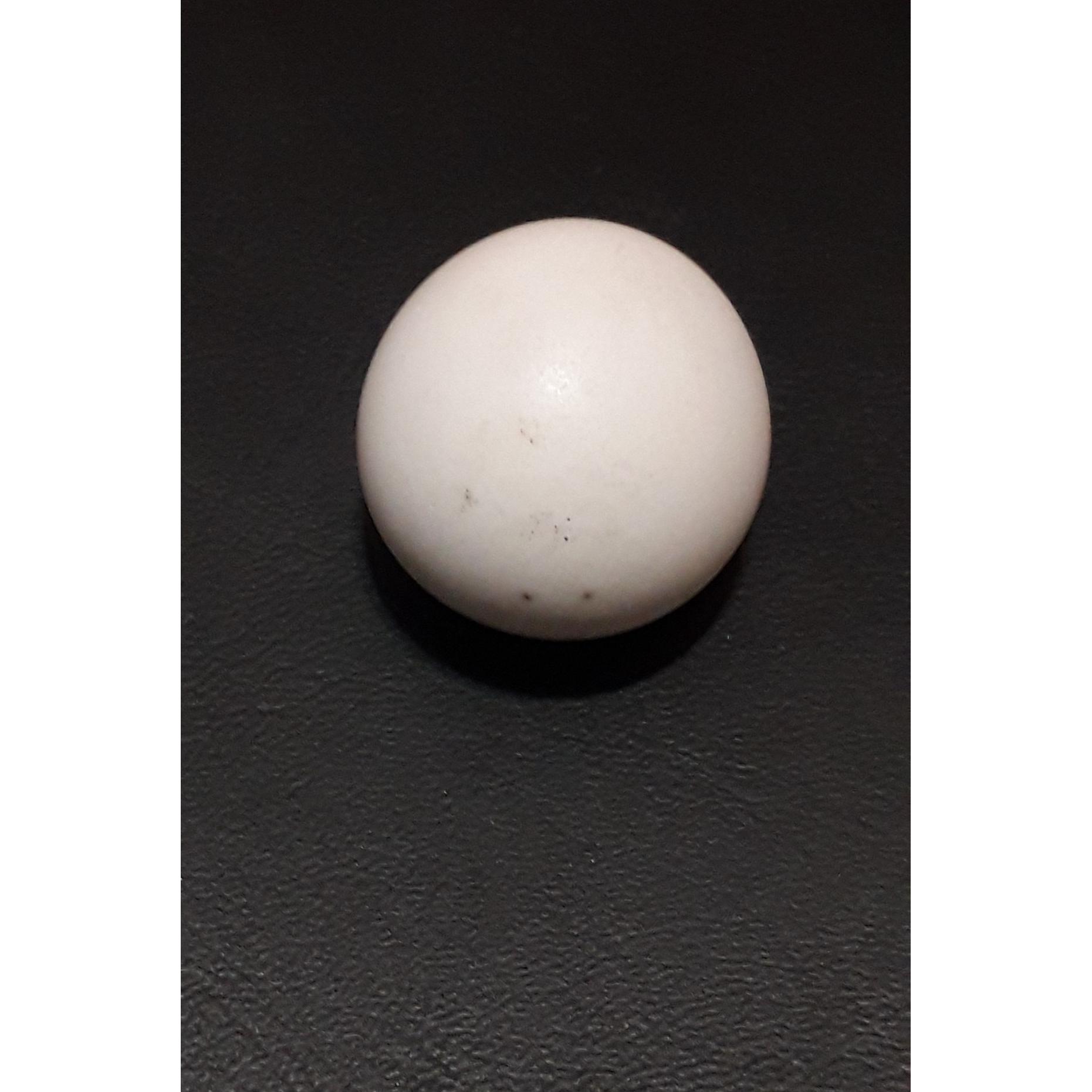 سنگ اسیاب یا سنگ گبری با درجه سختی بالا
