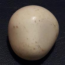 سنگ