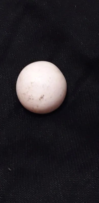 سنگ گَبری یا سنگ اسیاب با سختی بالا