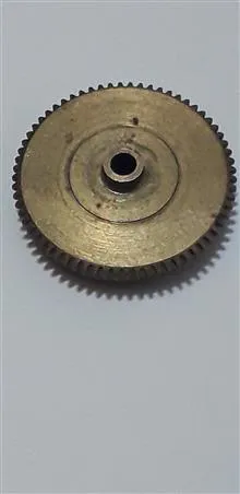 قوطی