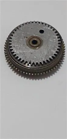 قوطی