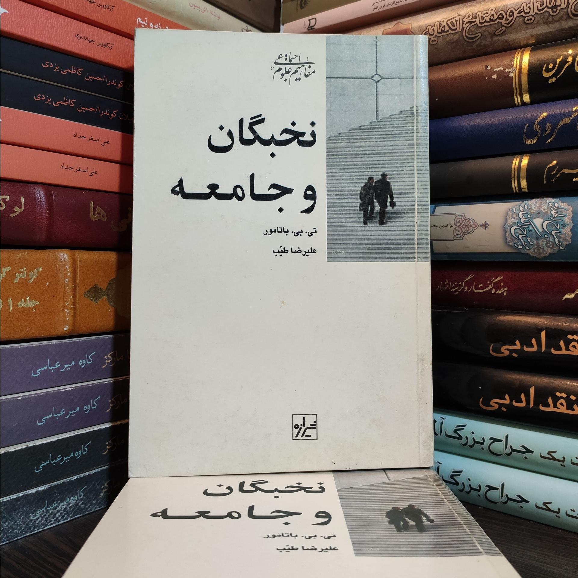 نخبگان و جامعه تی بی باتامور