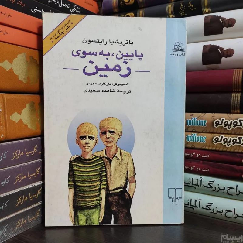 پایین، به سوی زمین  پاتریشیا رایتسون ( کتاب نوجوان