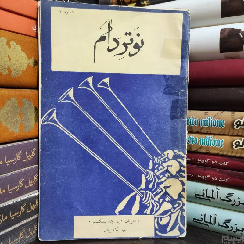نوتردام ویکتور هوگو ( مصور)