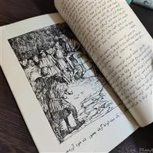 نوتردام