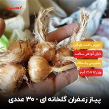 پیاز