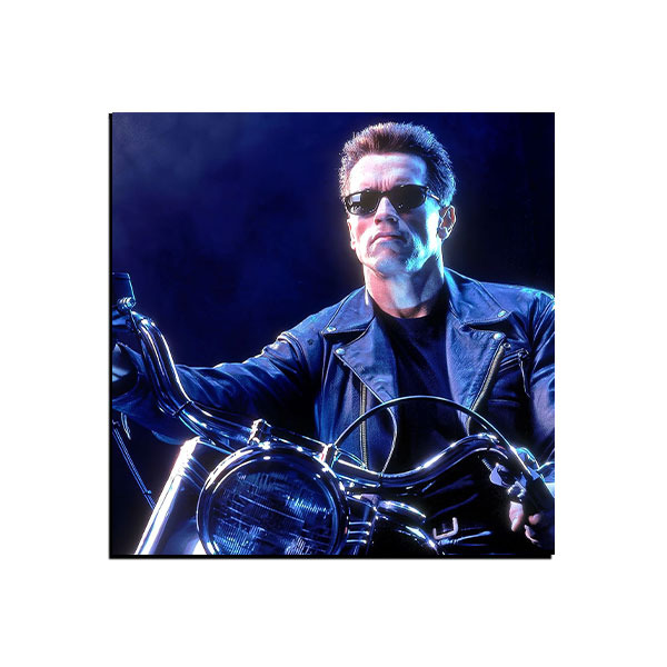 تابلو شاسی فیلم نابودگر Terminator ترمیناتور