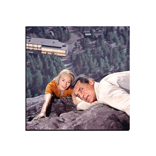 تابلو شاسی فیلم شمال از شمال غربی