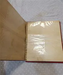 آلبوم