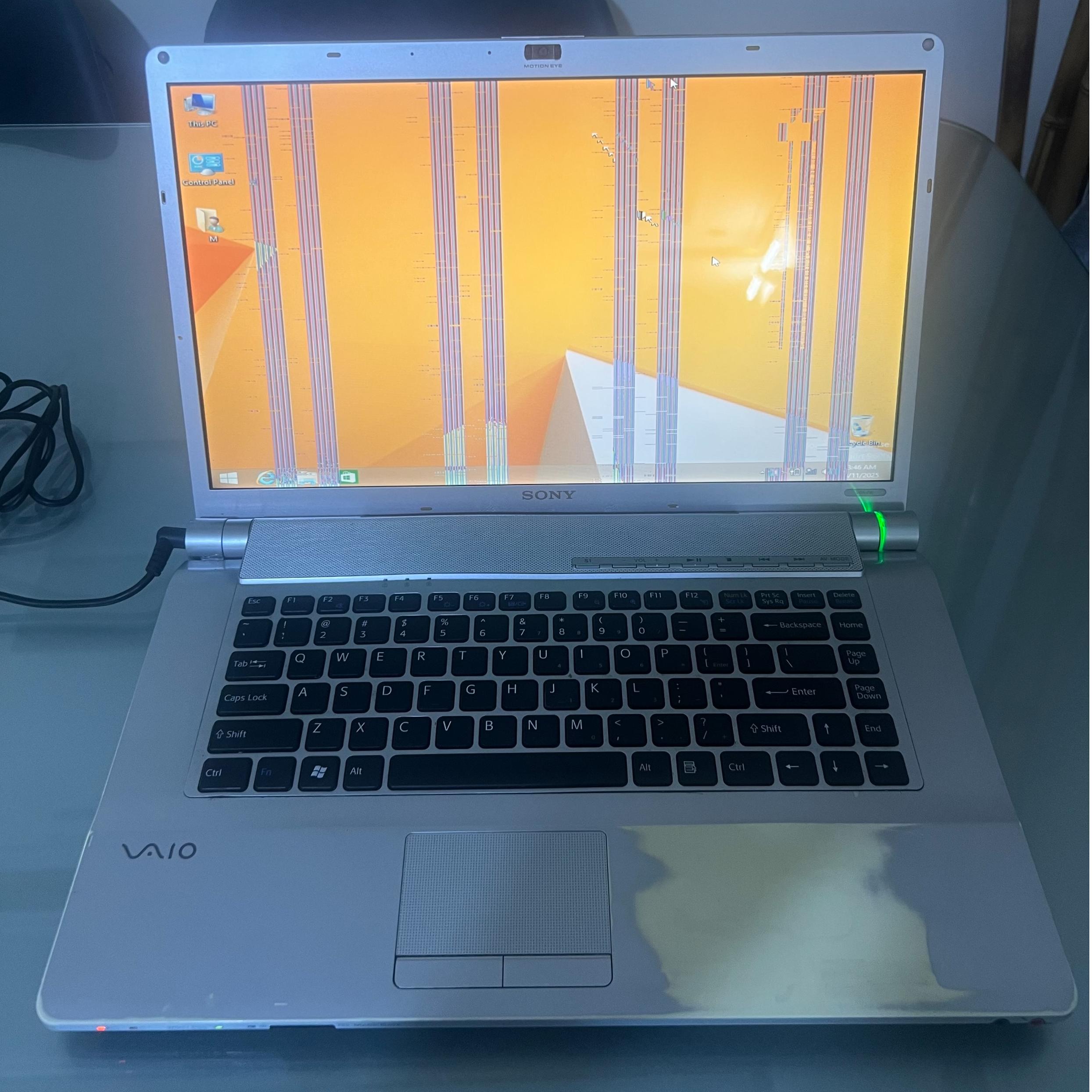 Sony VAIO FW