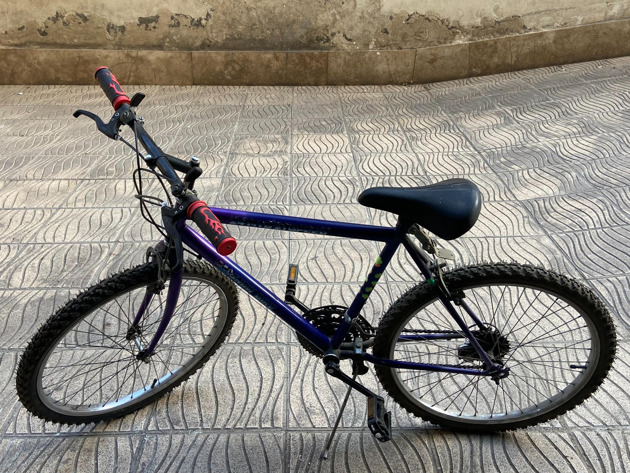 SNOW BIKE 24