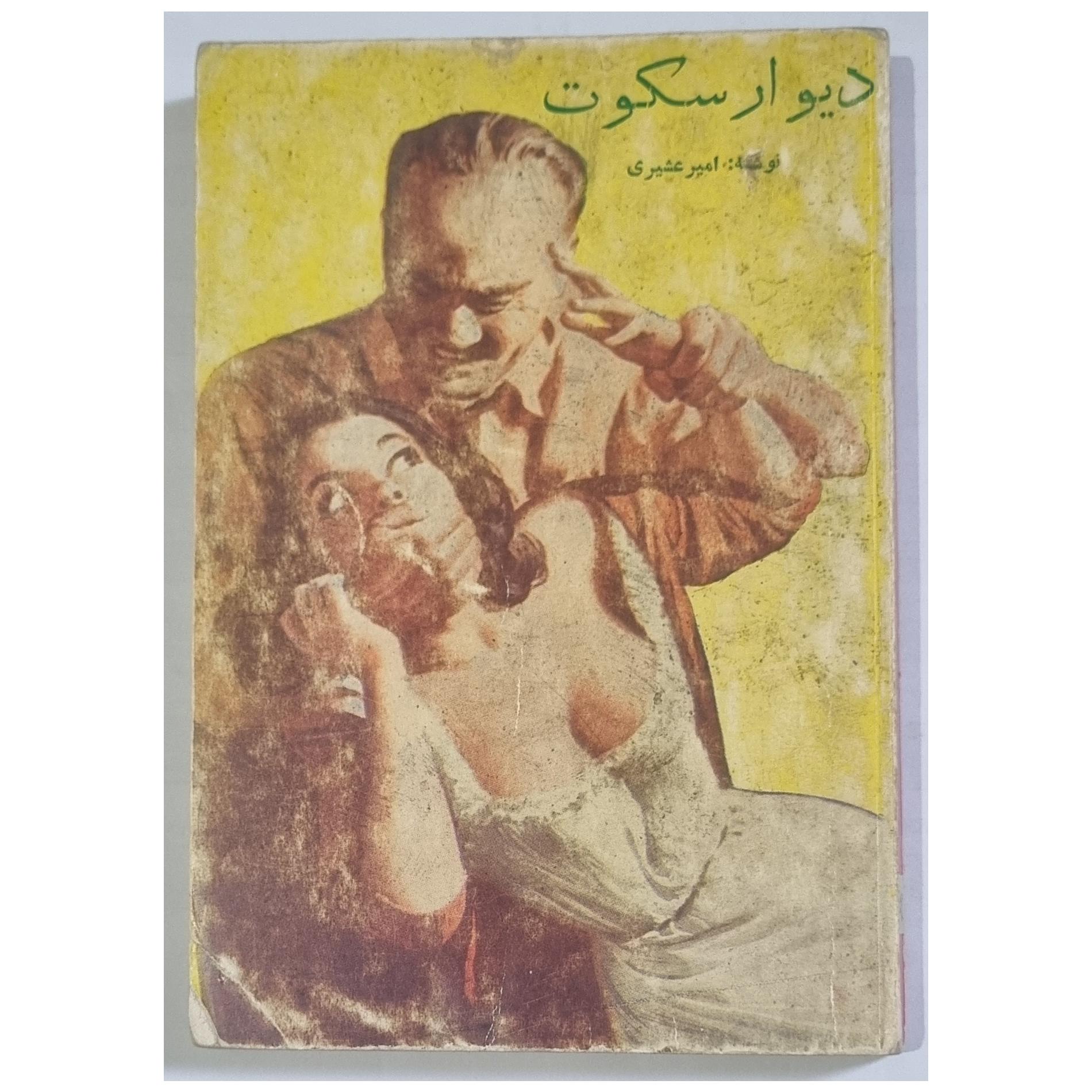 دیوار سکوت اثر امیر عشیری