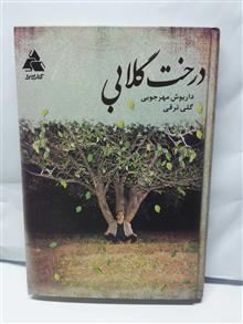 درخت