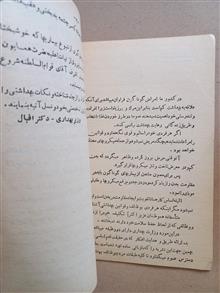 نشریه