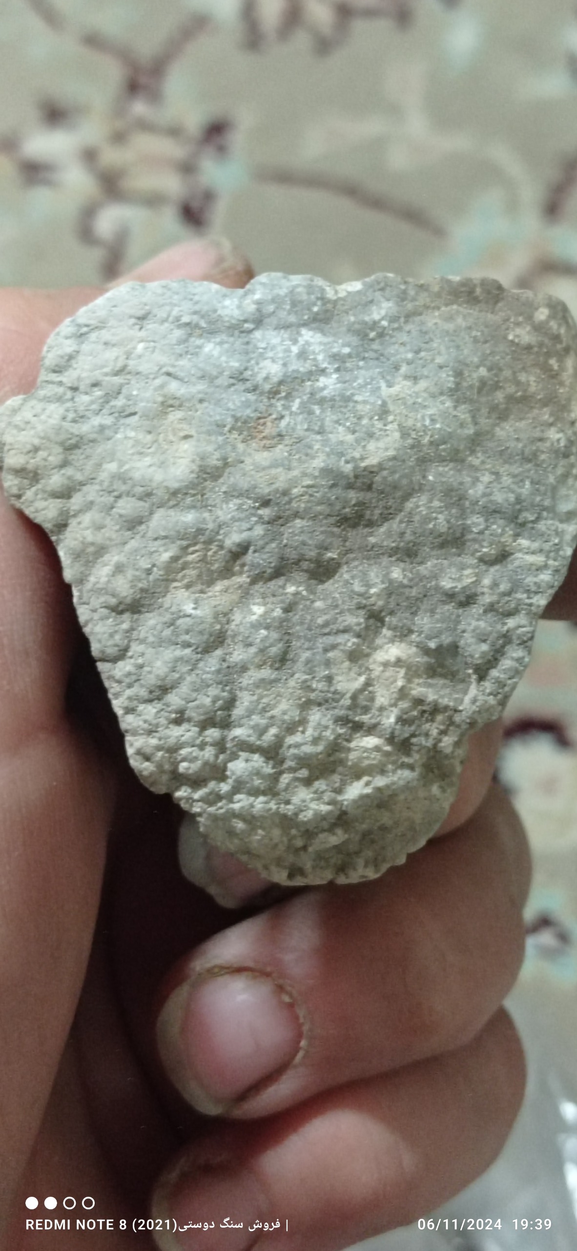سنگ فسیلی و سنگواره
