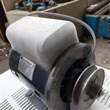 الکتروژن