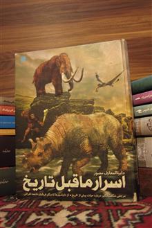 دایرة