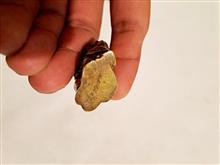 مجسمه
