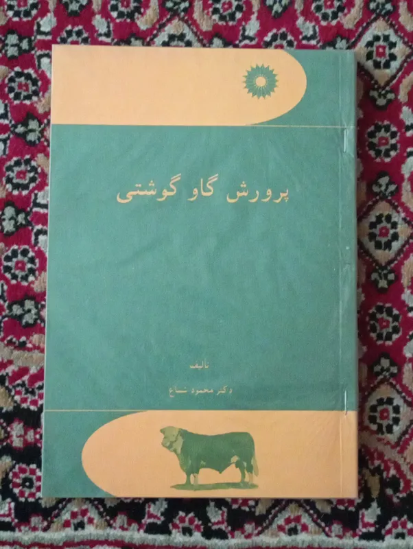 پرورش گاو گوشتی
