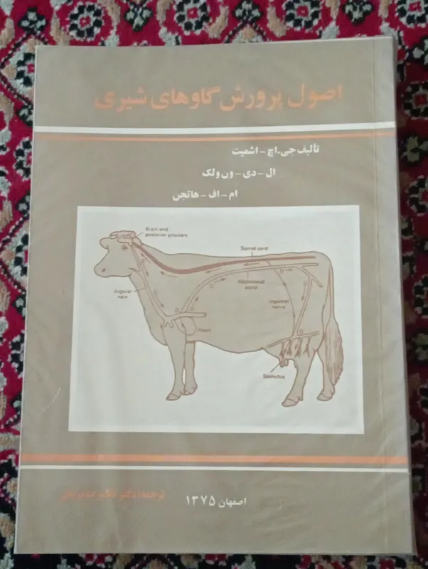 اصول پرورش گاو های شیری