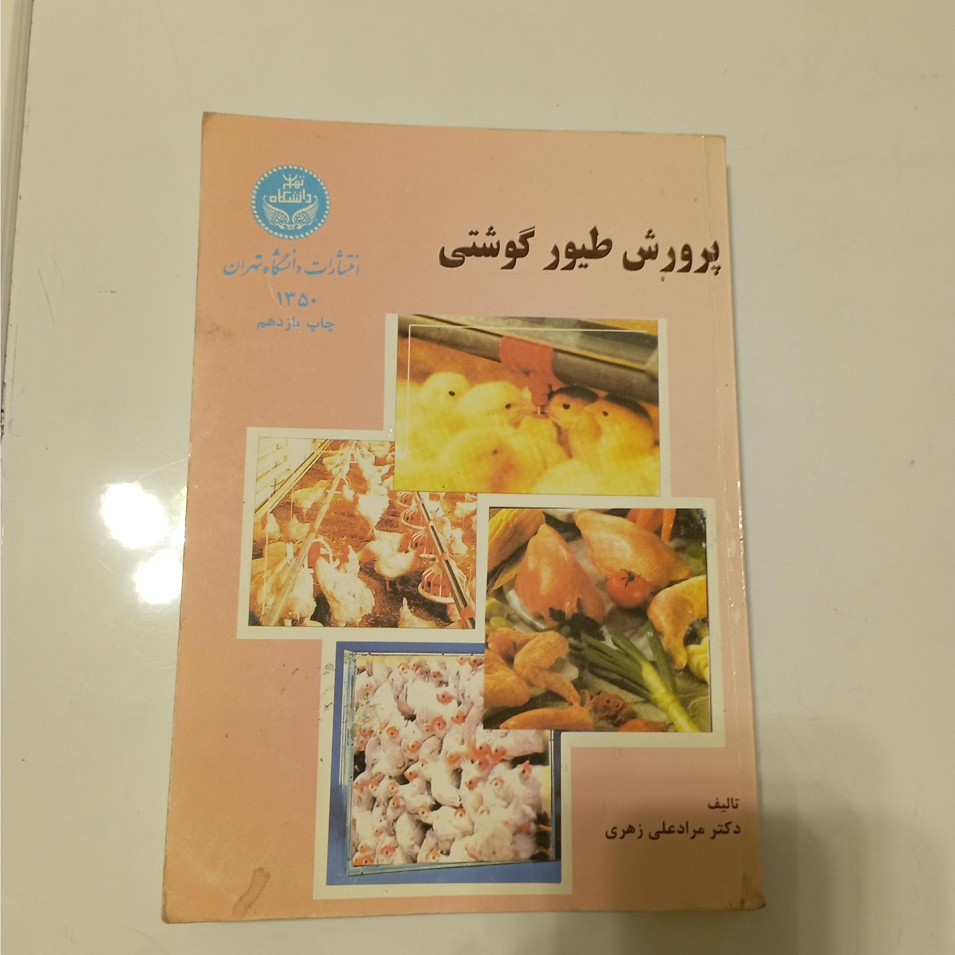 پرورش طیور گوشتی