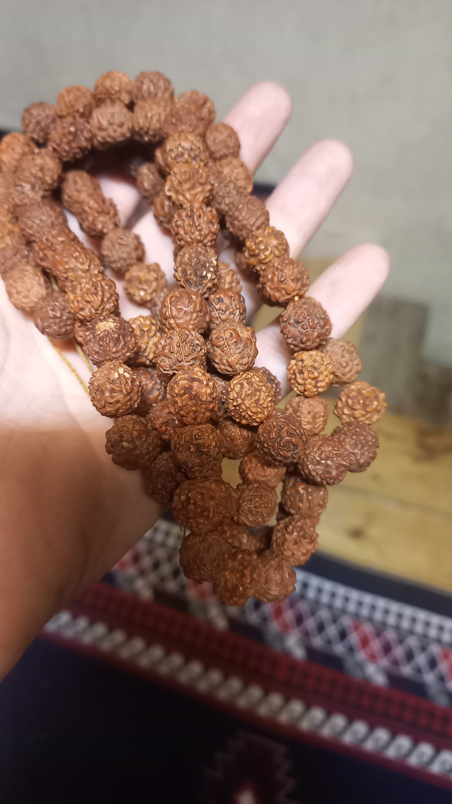 رودراکشا اصل هندی دانه درشت