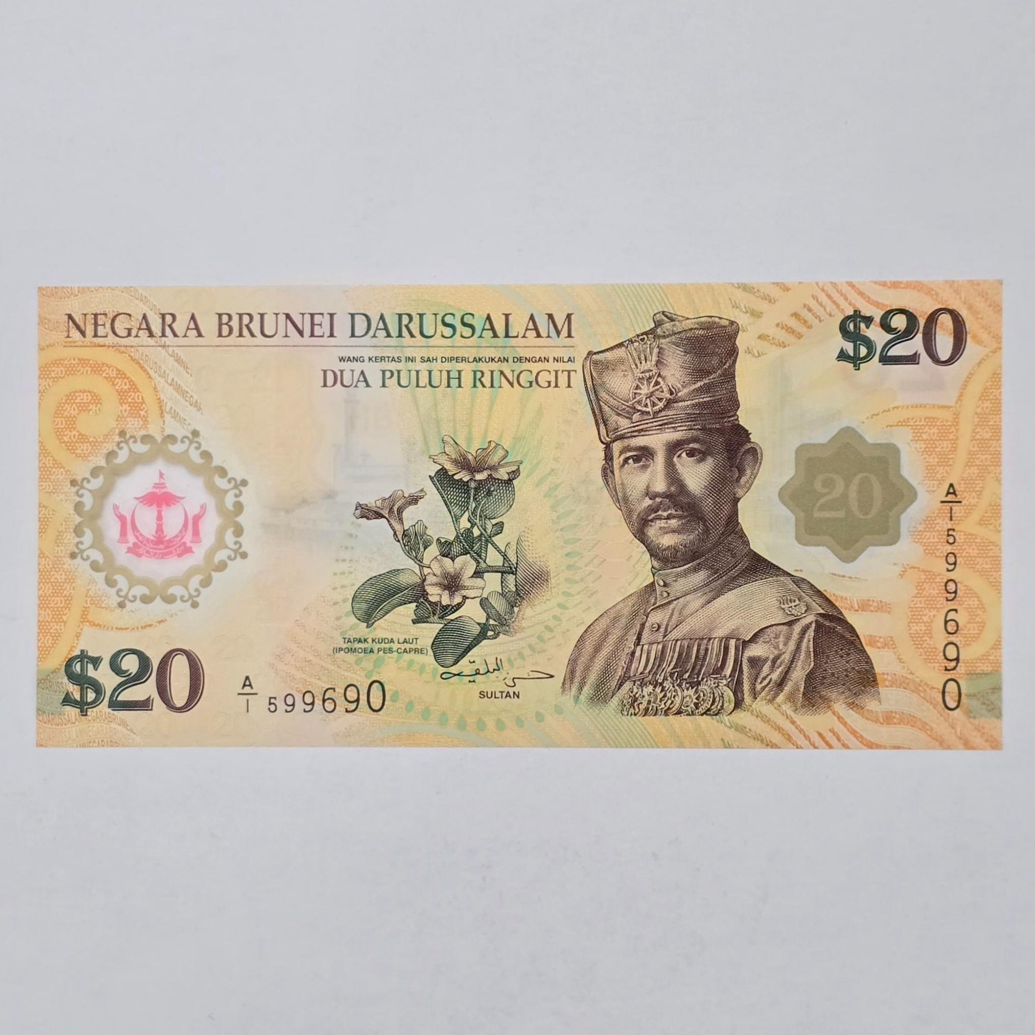 اسکناس برونئی 20 دلار نایاب برونئی پلیمری و زیبا