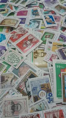20