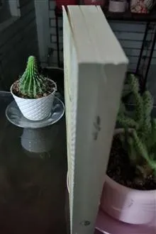 خطای