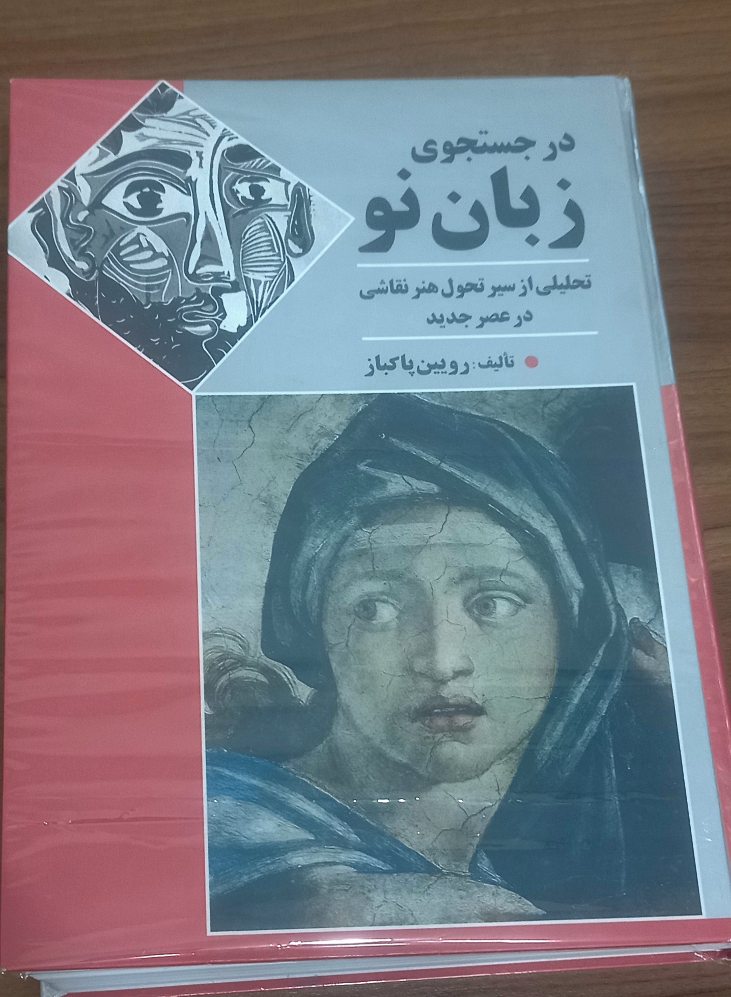 کتاب در جستجوی زبان نو نوشته رویین پاکباز