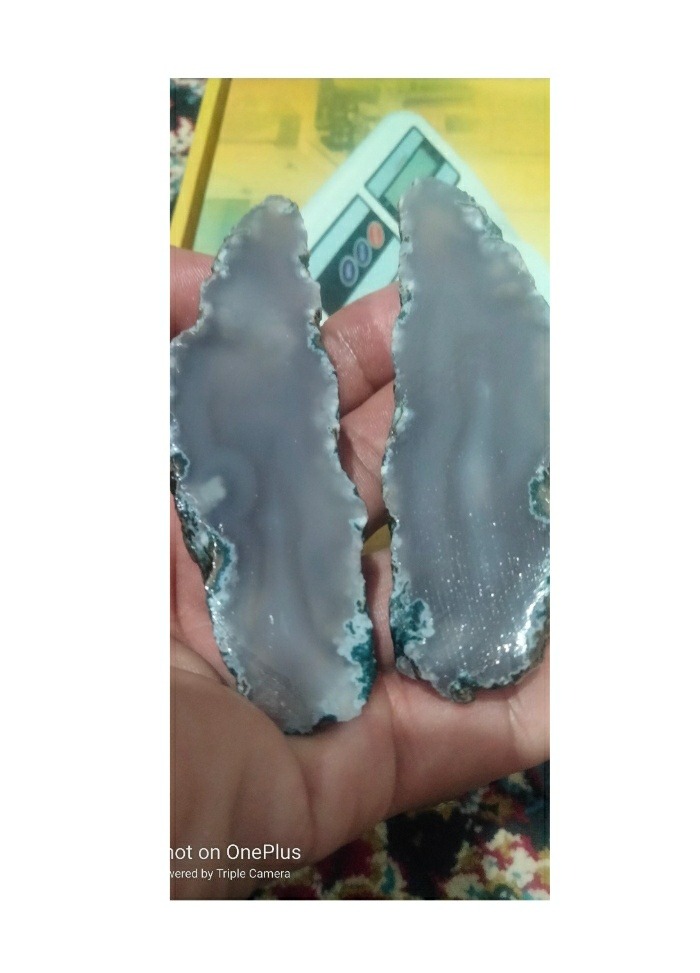 سنگ کلکسیونی دایناسوری توضیح داره