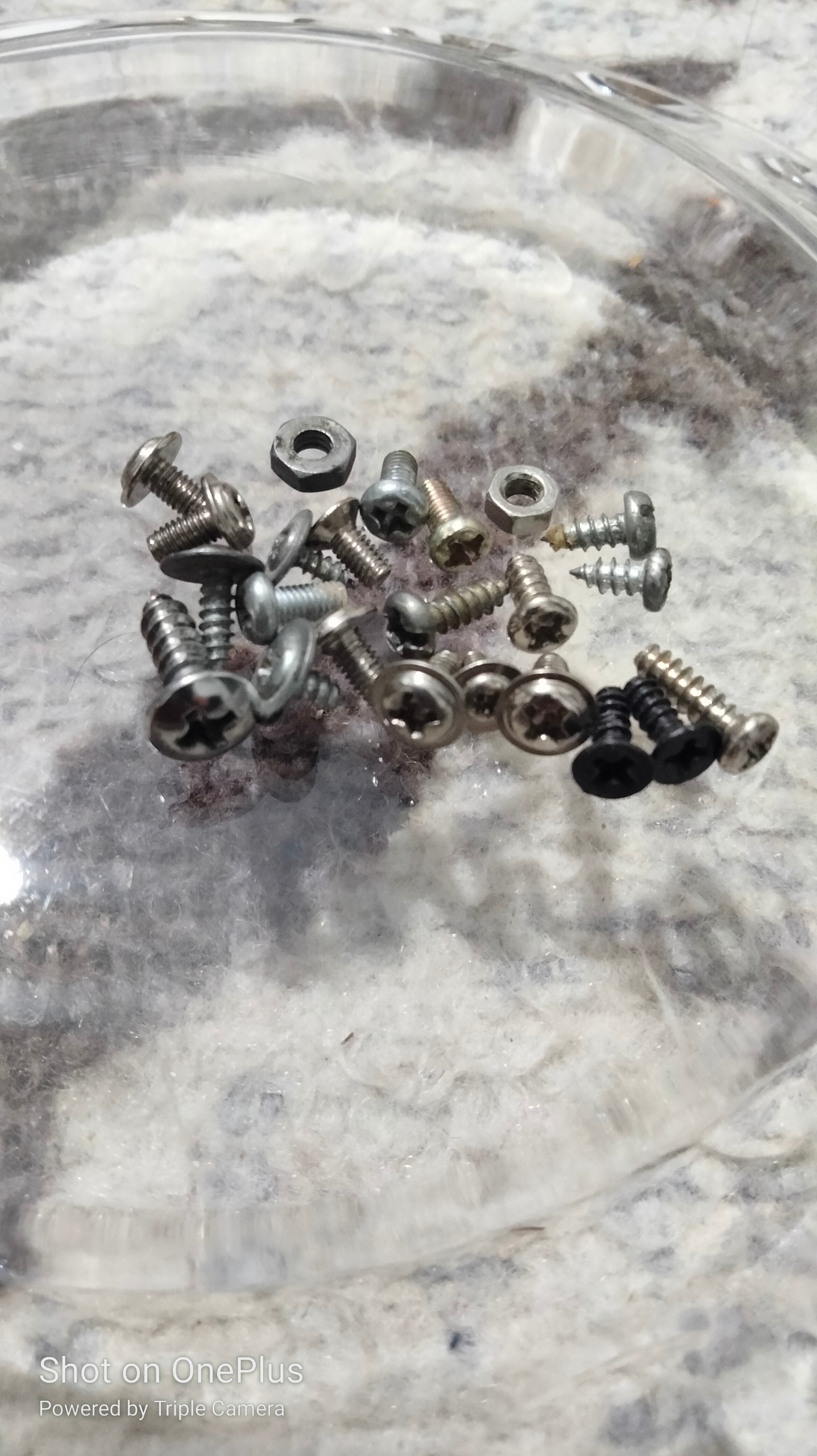 پیچ لپ تاپ کامپیوترموبایل توضیحات داره