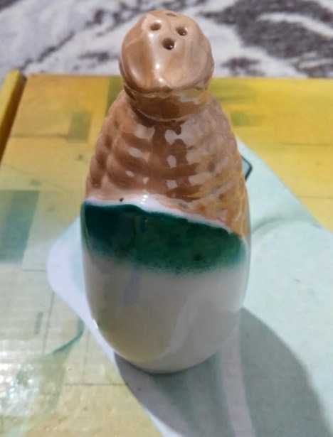 نمکدان دستسازپهلوی توضی داره