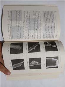 تولید