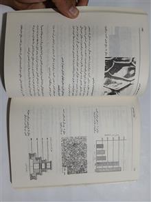 تولید