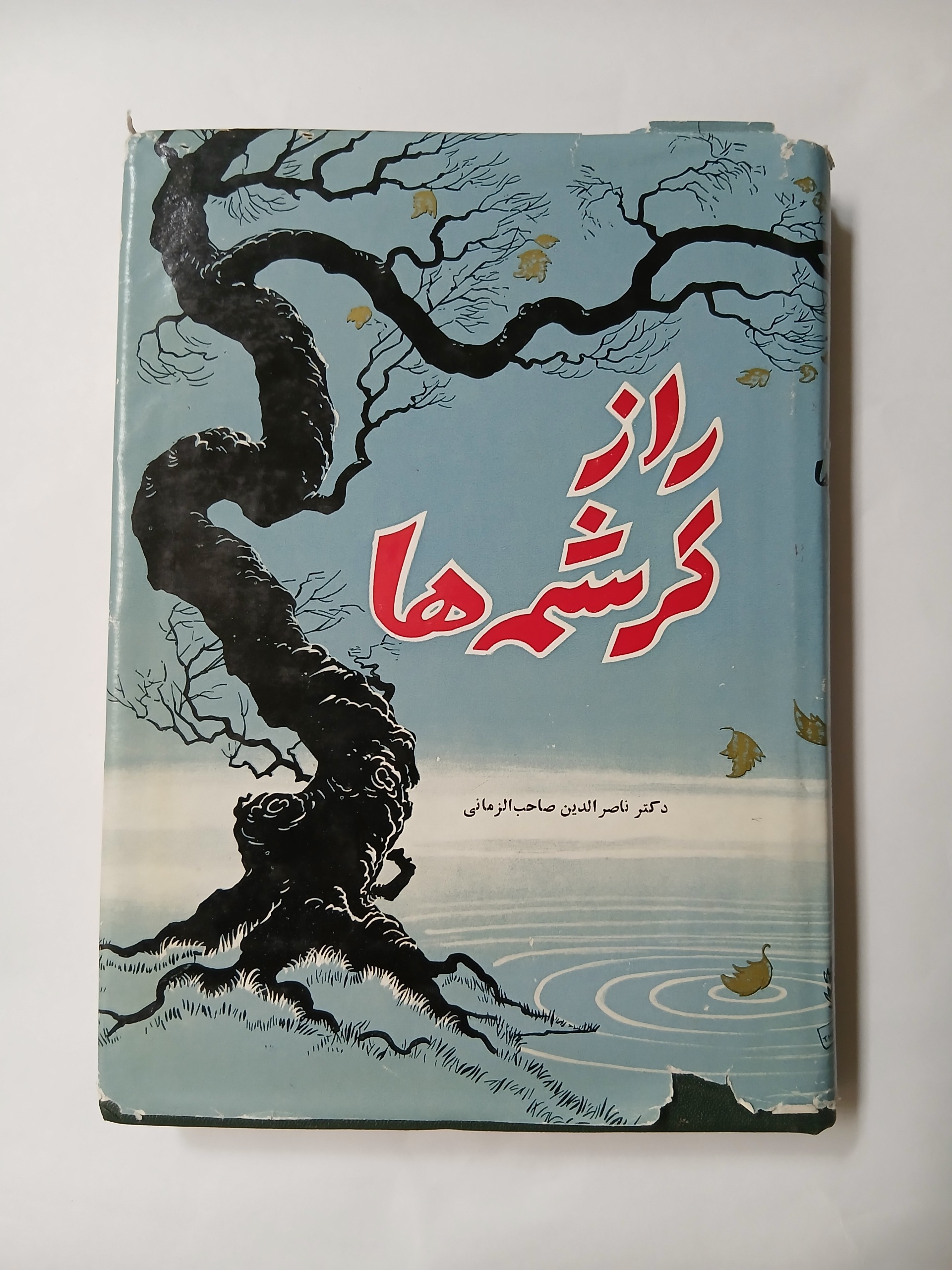 راز کرشمه ها ناصر الدین صاحب الزمانی چ41 وزیری آ