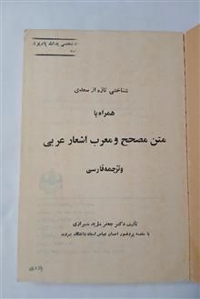 متن
