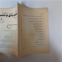 نشریه