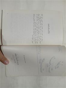 نظریه