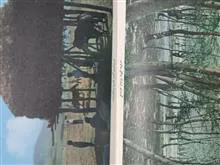 اوضاع