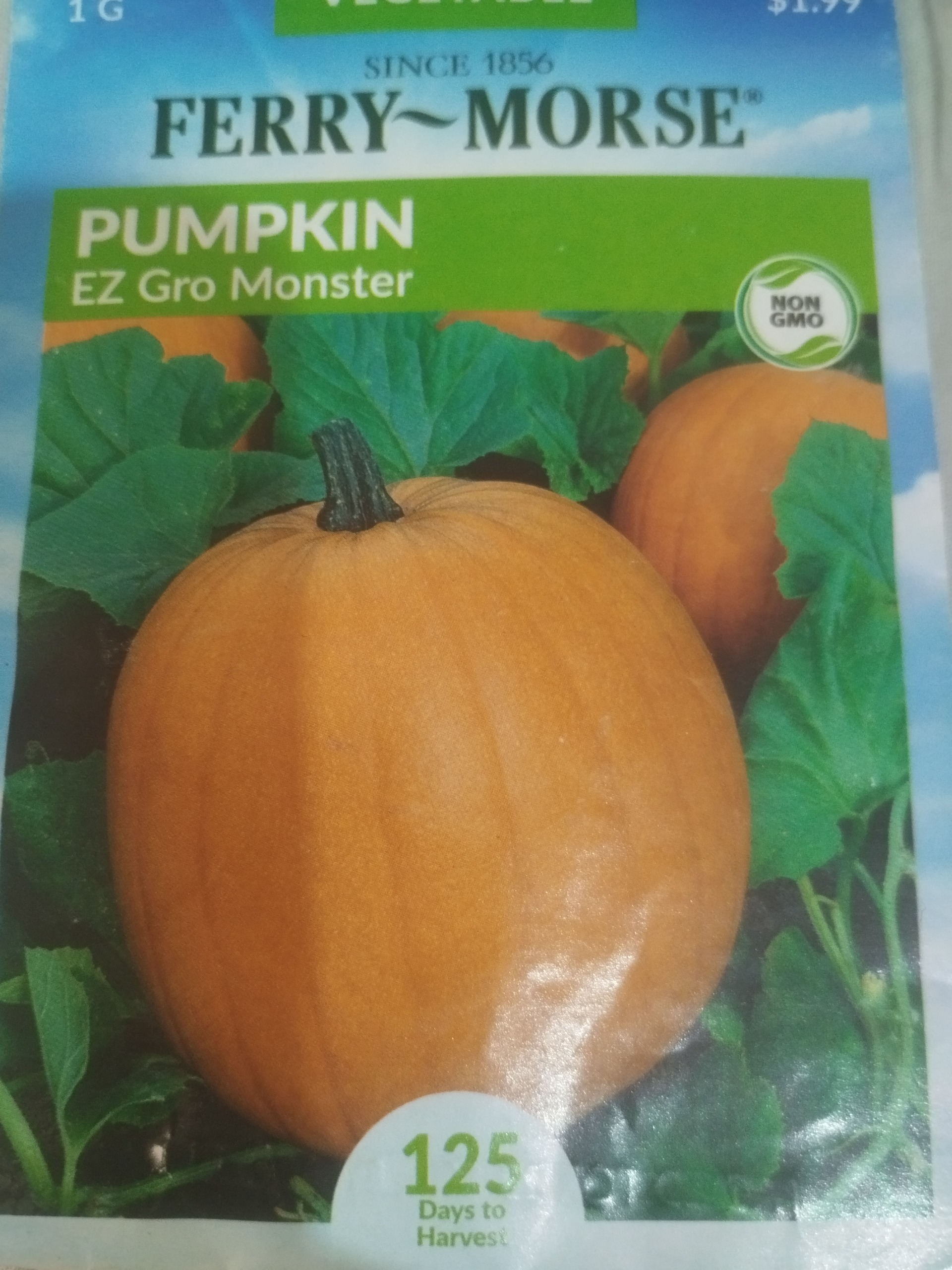 تخم سبزیجات اصلاح نژاد شده امریکایی