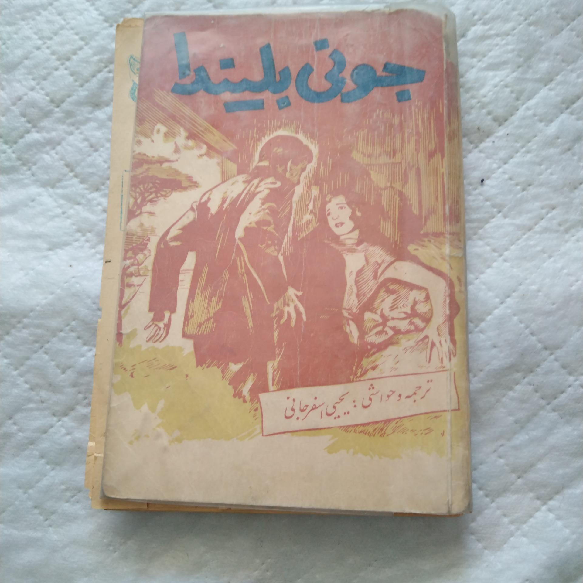 کتاب رمان جونی بلیندا