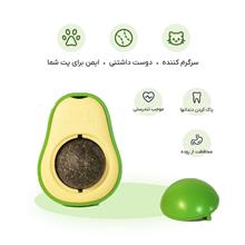 اسباب