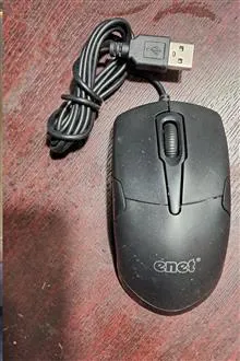 ماوس
