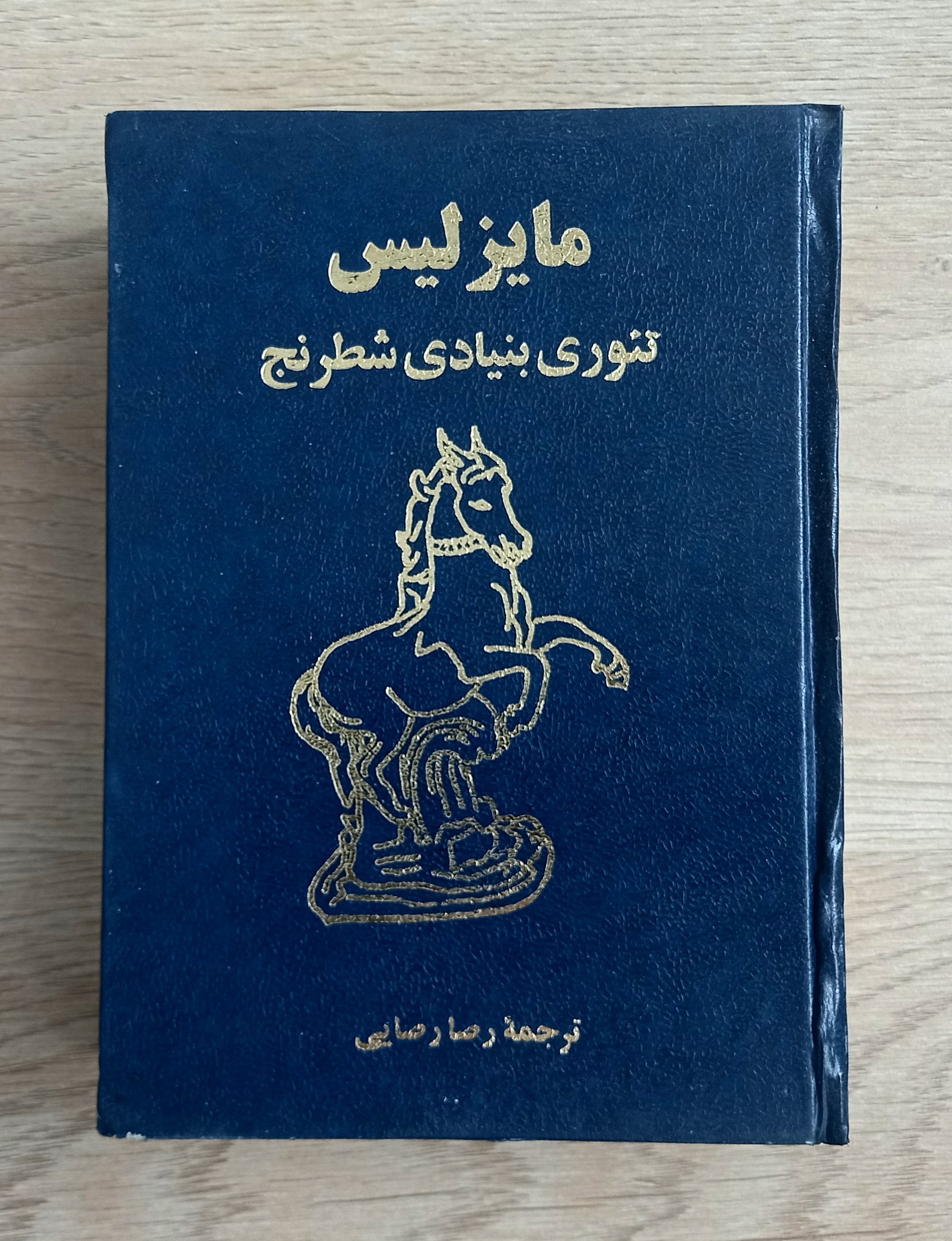 مایزلیس - تئوری بنیادی شرنج - جلد گالینگور