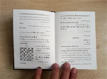 مایزلیس