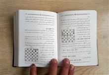 مایزلیس