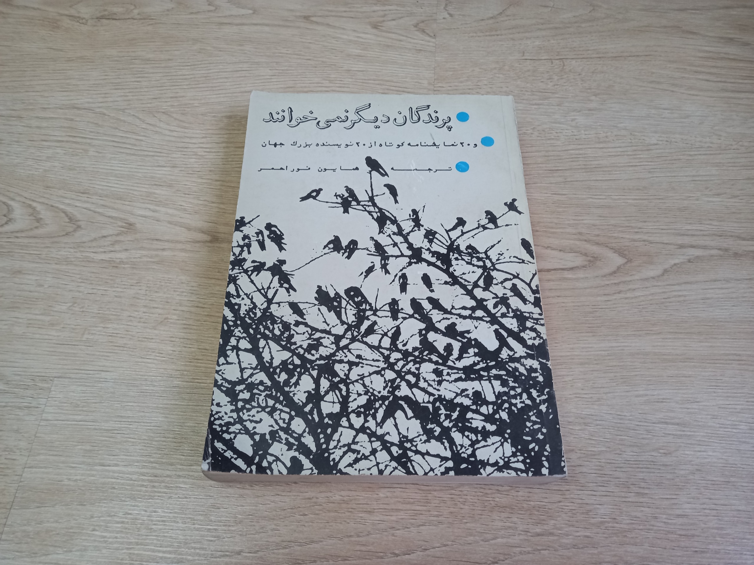 پرندگان دیگر نمی خوانند-نمایشنامه از21نویسنده جهان