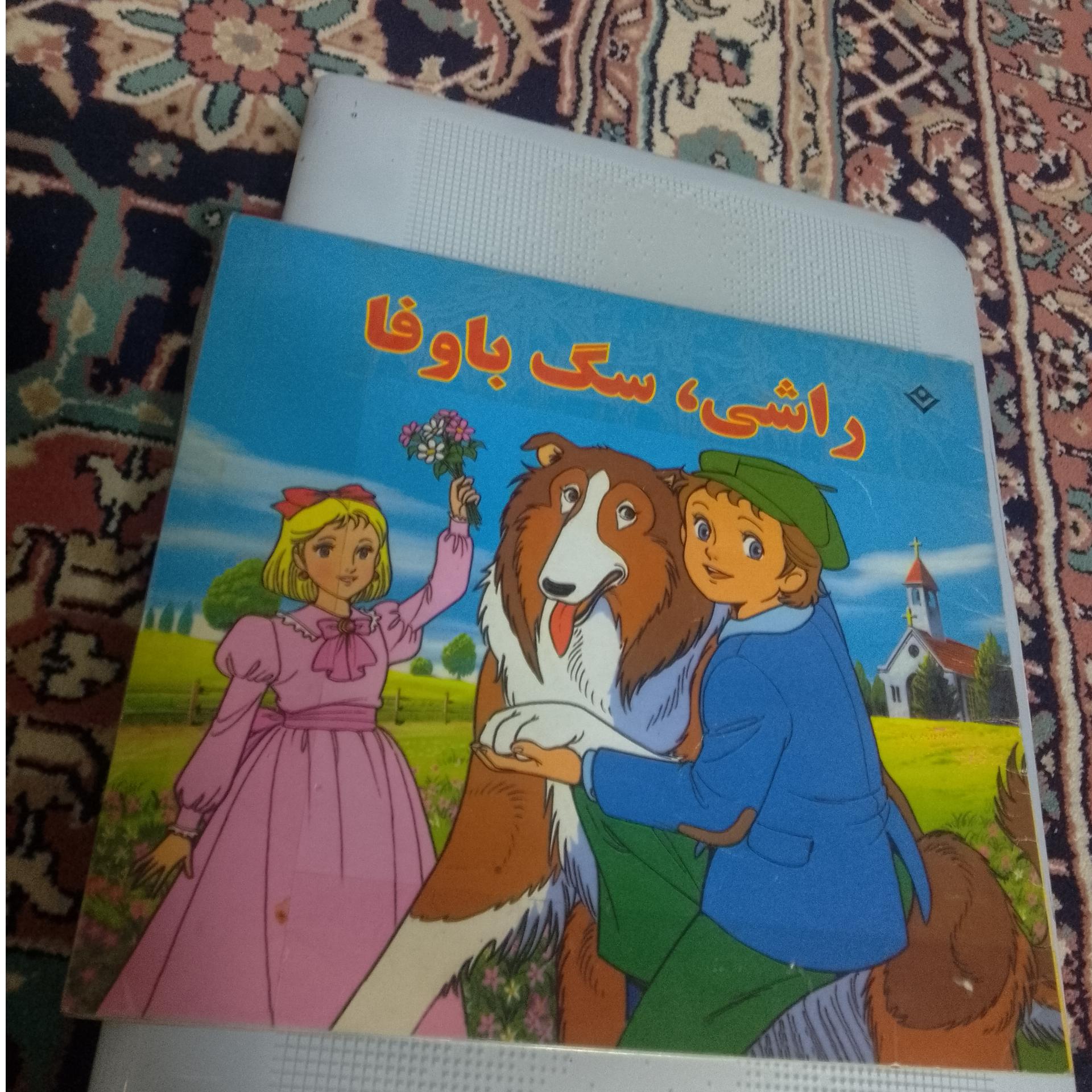 راشی، سگ باوفا