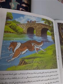 راشی،